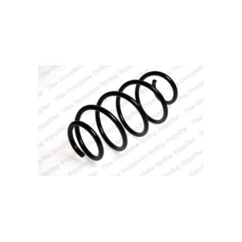 Neox SP6656 - Coil Spring (Front)