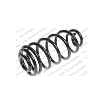 Neox SA6025 - Coil Spring (Rear)