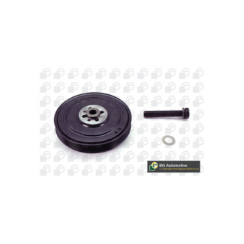 BGA Group DP2976FK - Torsion Vibration Damper