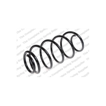 Neox SP7119 - Coil Spring (Front)