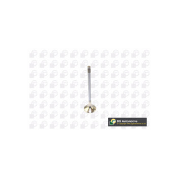 BGA Group V166211 - Exhaust Valve