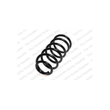 Neox SC6222 - Coil Spring (Rear)