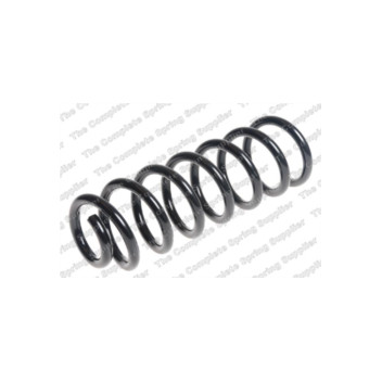 Neox SP8490 - Coil Spring (Rear)