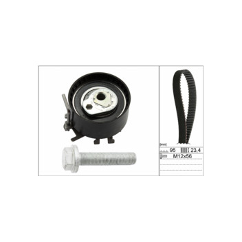 INA 530019510 - Timing Belt Kit
