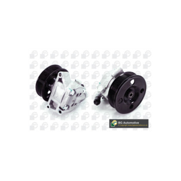 BGA Group PSP2328 - PAS Pump