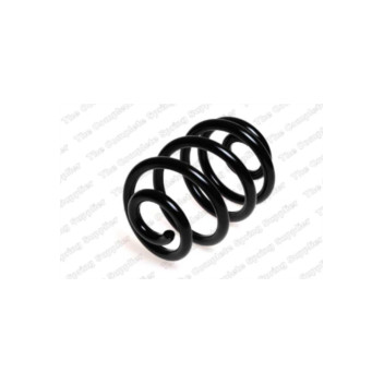 Neox SP7523 - Coil Spring (Rear)