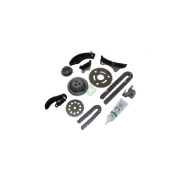 INA 559100850 - Timing Chain Kit
