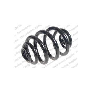 Neox SJ9006 - Coil Spring (Rear)