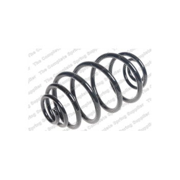 Neox SJ6079 - Coil Spring (Rear)