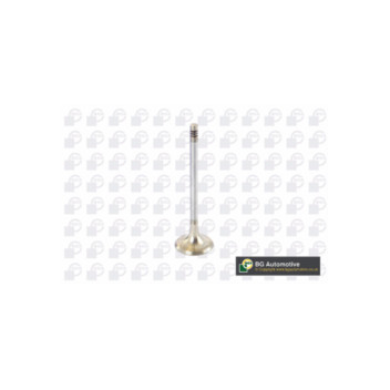 BGA Group V090100 - Exhaust Valve