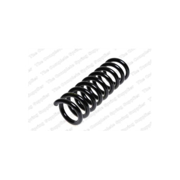 Neox SA6346 - Coil Spring (Rear)