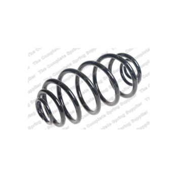Neox SJ6071 - Coil Spring (Rear)