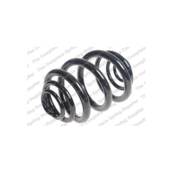 Neox SJ6356 - Coil Spring (Rear)