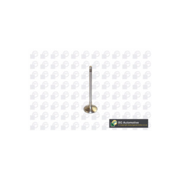 BGA Group V591701 - Inlet Valve