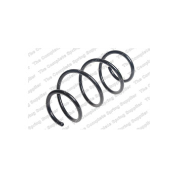 Neox SP6789 - Coil Spring (Front)
