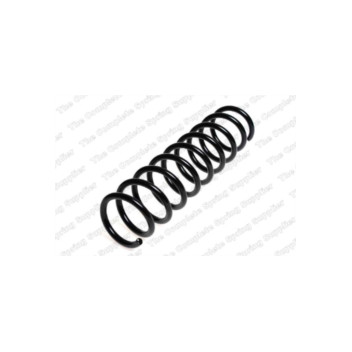 Neox SP6989 - Coil Spring (Rear)