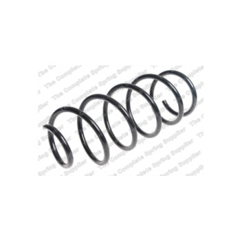 Neox SP7104 - Coil Spring (Front)