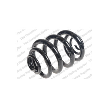Neox SJ9040 - Coil Spring (Rear)