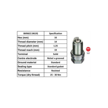 NGK 4619 - Spark Plug