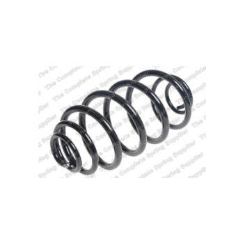 Neox SJ6355 - Coil Spring (Rear)