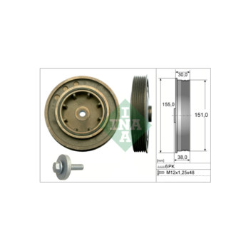 INA 544010120 - Crankshaft Pulley