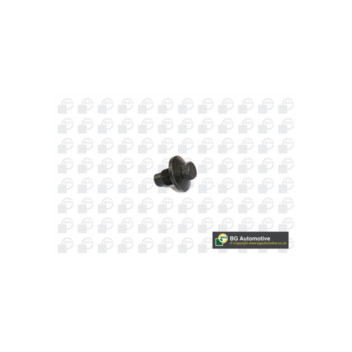 BGA Group PK1400 - Sump Plug