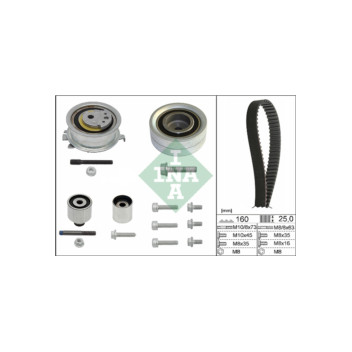 INA 530055010 - Timing Belt Kit