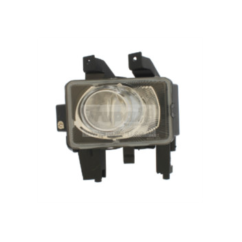 Trupart TFL2243 - Fog Lamp (Front Left Hand)