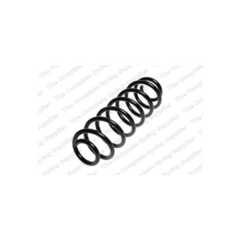 Neox SH6040 - Coil Spring (Rear)