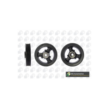 BGA Group DP5900 - Torsion Vibration Damper