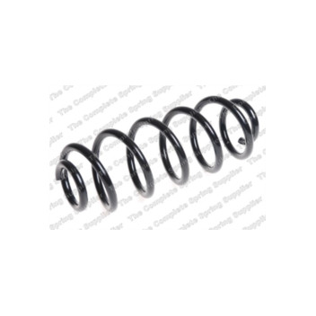 Neox SP6891 - Coil Spring (Rear)
