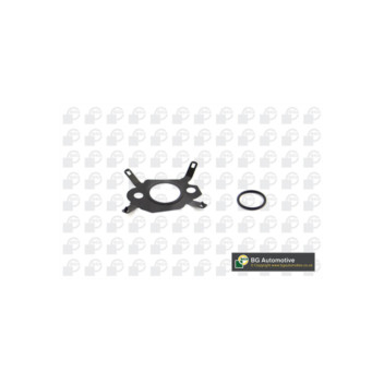 BGA Group AG1444 - EGR Valve Seal