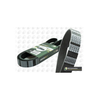 BGA Group 8PK1230 - Drive Belt