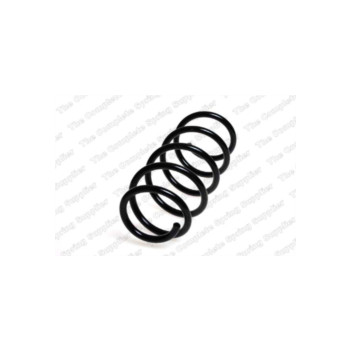 Neox SP6629 - Coil Spring (Front)
