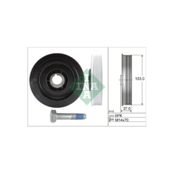 INA 544005820 - Crankshaft Pulley
