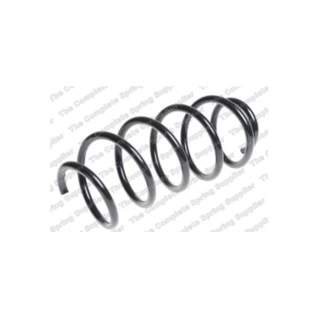 Neox SP7040 - Coil Spring (Front)