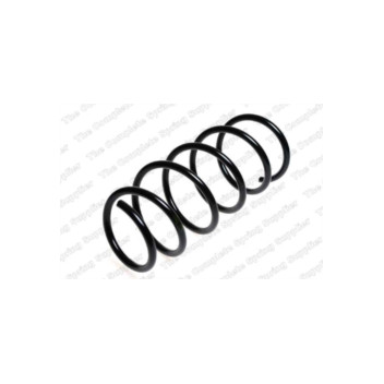 Neox SP7211 - Coil Spring (Front)