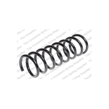 Neox SP7565 - Coil Spring (Rear)