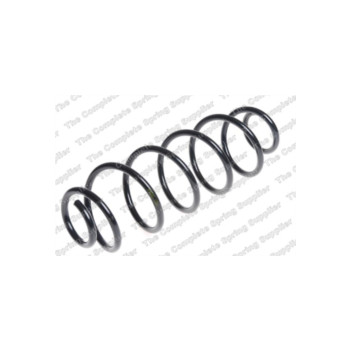 Neox SA6248 - Coil Spring (Rear)
