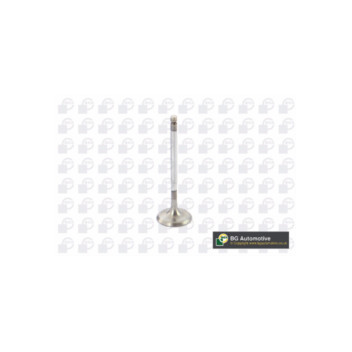 BGA Group V851291 - Inlet Valve
