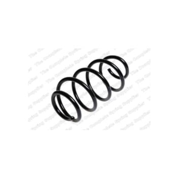 Neox SH6323 - Coil Spring (Front)