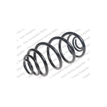 Neox SJ6058 - Coil Spring (Rear)