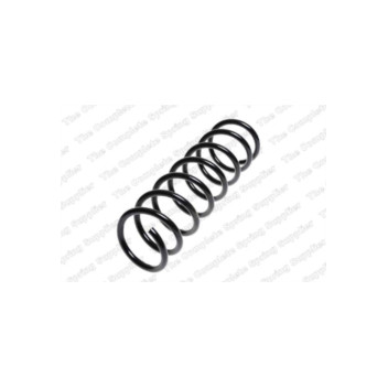Neox SA6033 - Coil Spring (Rear)