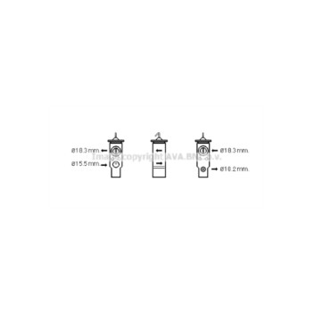  BW1359 - Expansion Valve