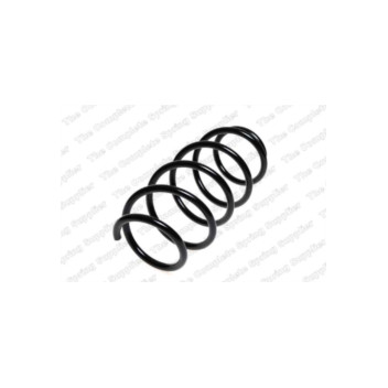 Neox SP7504 - Coil Spring (Front)