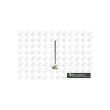 BGA Group V591702 - Exhaust Valve
