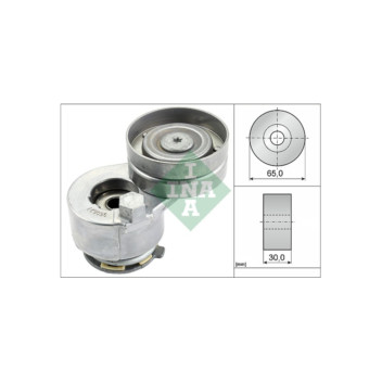 INA 534014230 - Tensioner Lever