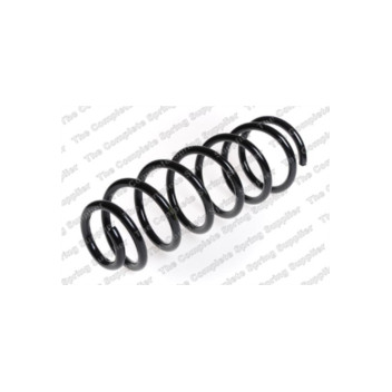 Neox SP7263 - Coil Spring (Rear)