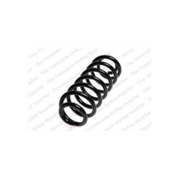 Neox SH6253 - Coil Spring (Rear)