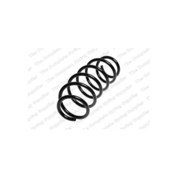 Neox SP7273 - Coil Spring (Front)